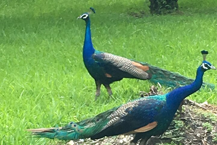 Experience Image img4