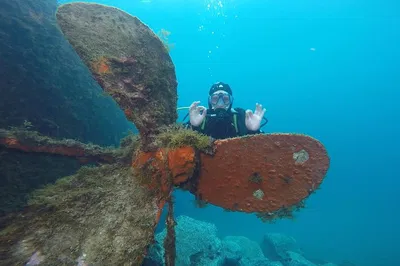 Image 3