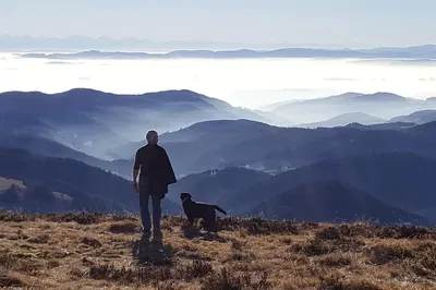 Black Forest Car Tour: See Freiburg's Best!