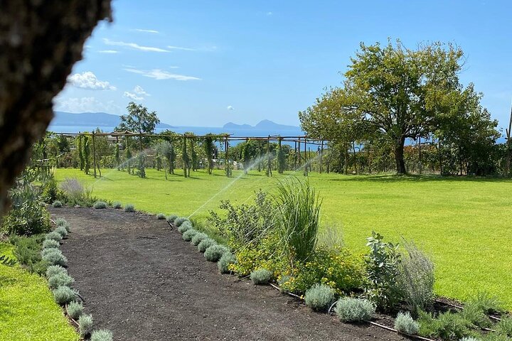 Experience Image img1