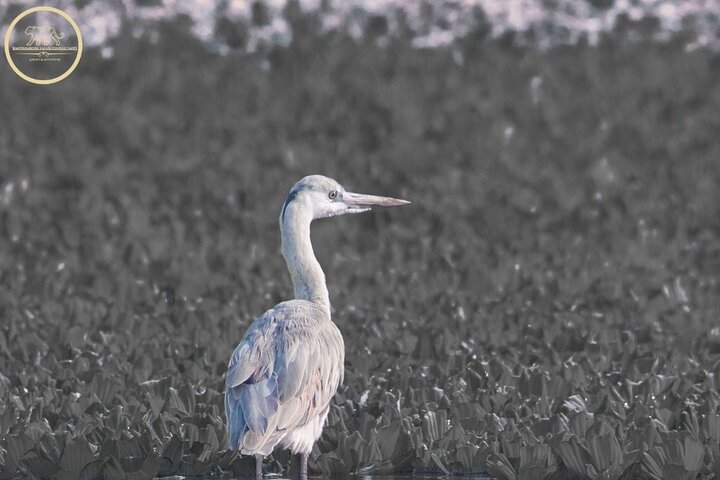 Experience Image img2