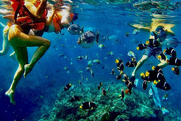 Explore Los Arcos: Paddleboarding and Snorkeling Adventure