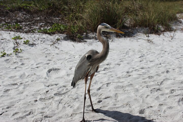 Experience Image img1