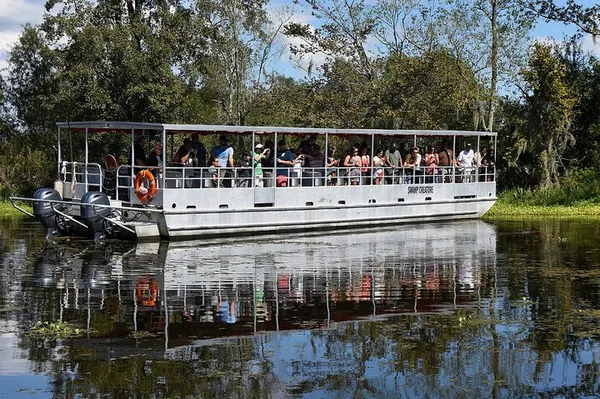 New Orleans Bayou Boat Tour: Alligators & Wildlife!