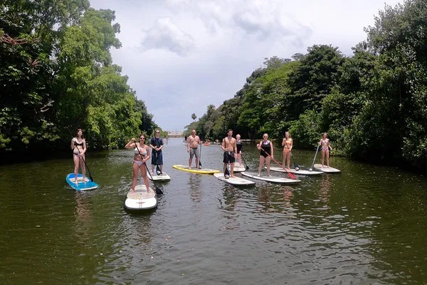 Oahu Private Island Tour: Customize Your Hawaiian Adventure