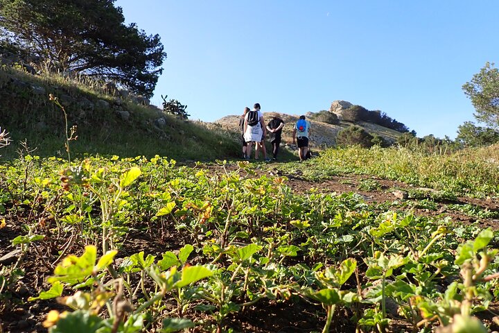 Experience Image img2