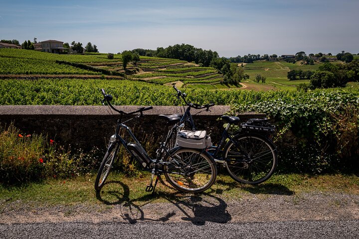 E-Bike & Wine: Pedal Through Saint Emilion's Vineyards with Gourmet Picnic