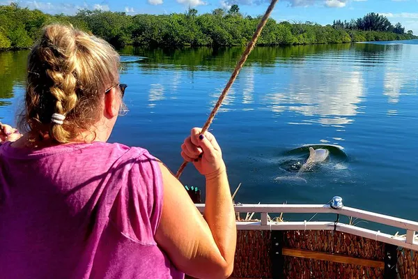 Melbourne's Aquatic Wonders: A Dolphin & Manatee Sightseeing Extravaganza!