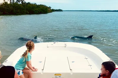 Marco Island Dolphin Tour: 10,000 Islands Wildlife!