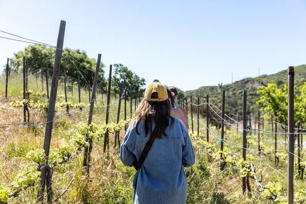 Malibu Vineyard Escape: Hike, Views & Wine Adventure