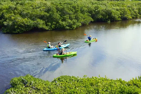 Venice, FL Kayak Tour: Explore Canals & Find Sharks Teeth