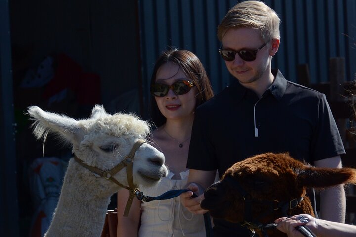 Experience Image img1