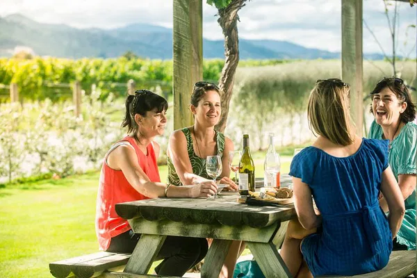 Uncover Marlborough's Hidden Gems: A Winemaker-Led Wine Tour Adventure