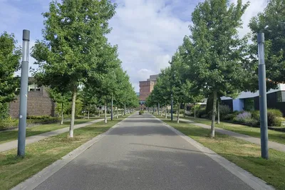 Enschede's Textile Ghost Quest: A Self-Guided Mystery!