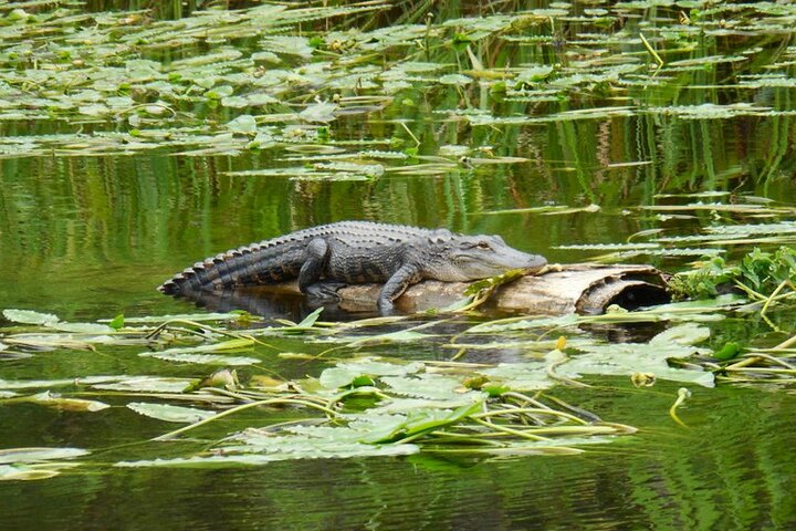 Experience Image img1