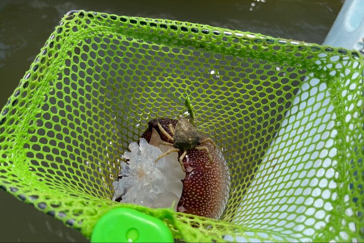 Experience Image img2