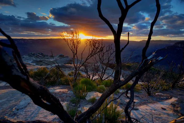 Ultimate Blue Mountains Sunset Wildlife Adventure: A Luxurious Escape
