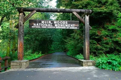 Muir Woods & Golden Gate Bike Tour: See SF's Best!