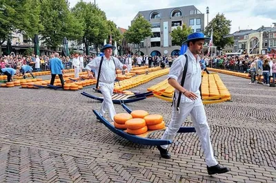 Alkmaar Cheese Market & North Holland Tour