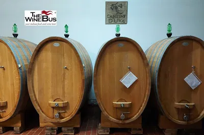 Molise Wine Tour: Tintilia Tasting from Campobasso