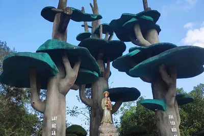 Explore Paradise Cave: A Hoi An Adventure into Vietnam's Natural Wonders
