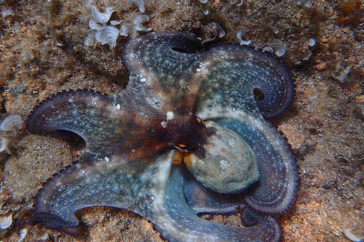 Experience Image img2