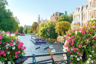 Explore Amsterdam at Your Pace: A Private Audio Guided Walking Tour