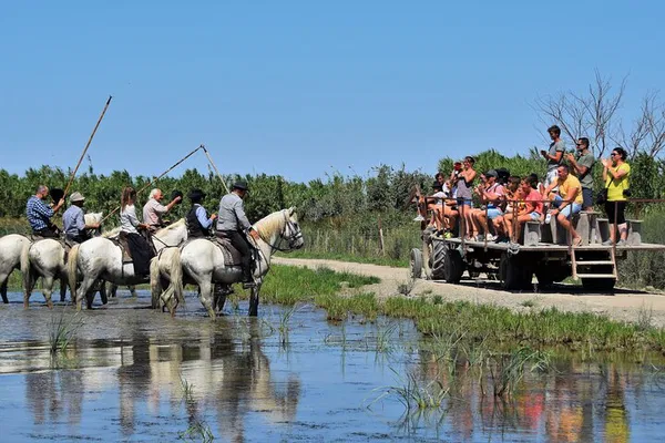 Camargue Heart: An Immersive Wildlife & Tradition Experience