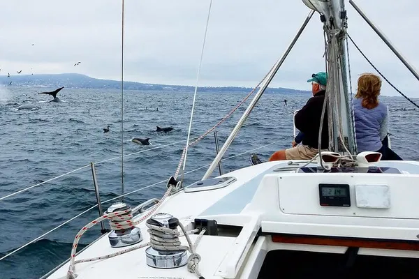 Monterey Bay Whale Watch: A Personalized Marine Adventure