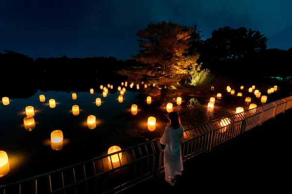 teamLab Botanical Garden Osaka: Nighttime Digital Art!