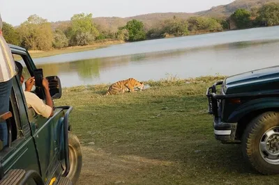 Embark on a Thrilling 3-Hour Tiger Safari in Ranthambore National Park