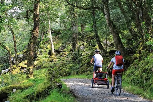 Glenveagh National Park: Pedal Through Donegal's Untamed Beauty