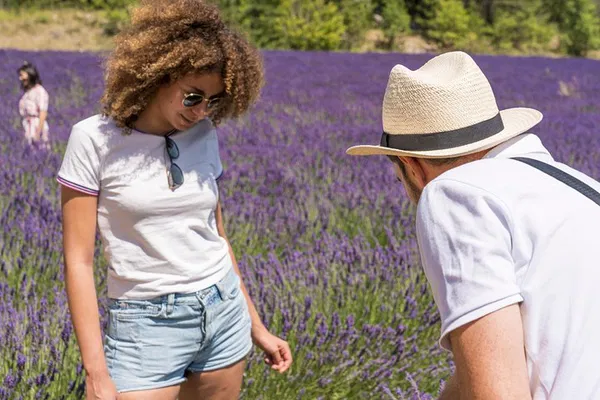 Luberon Lavender Fields: Half-Day Small Group Tour
