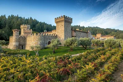 Unforgettable Napa Valley Wine & Food Tour: San Francisco Escape