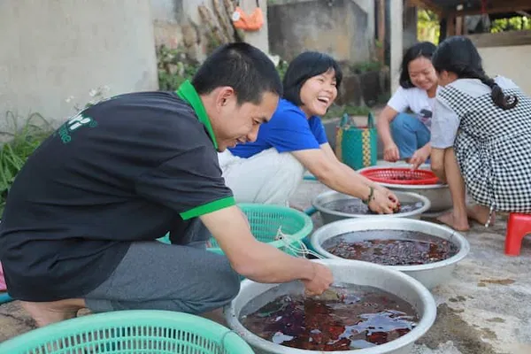 Da Lat's Organic Coffee Journey: From Farm to Cup