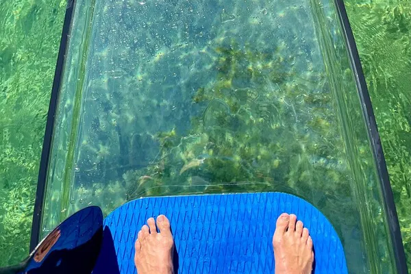 Glide & Glimpse: Weeki Wachee's Clear Paddle Board Eco-Adventure!