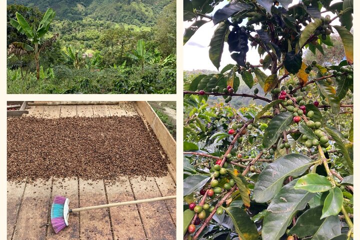 Experience Image img2