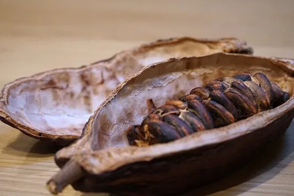 Turin's Chocolate Paradise: A Decadent Tasting Journey