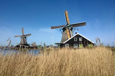 Uncover Holland's Charms: A Private Day Tour to Zaanse Schans & Volendam