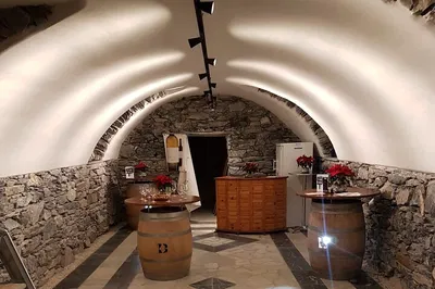 Valais Wine Tasting: A Private Minibus Journey Through Swiss Vineyards