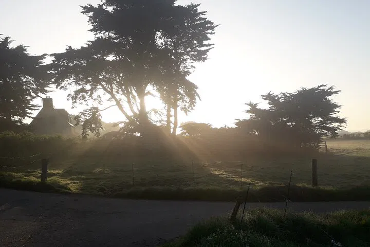 img0