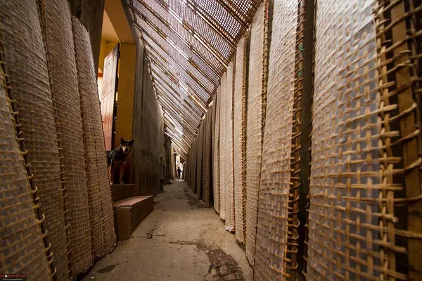 Tho Ha Photography Tour: Capture Authentic Vietnamese Village Life