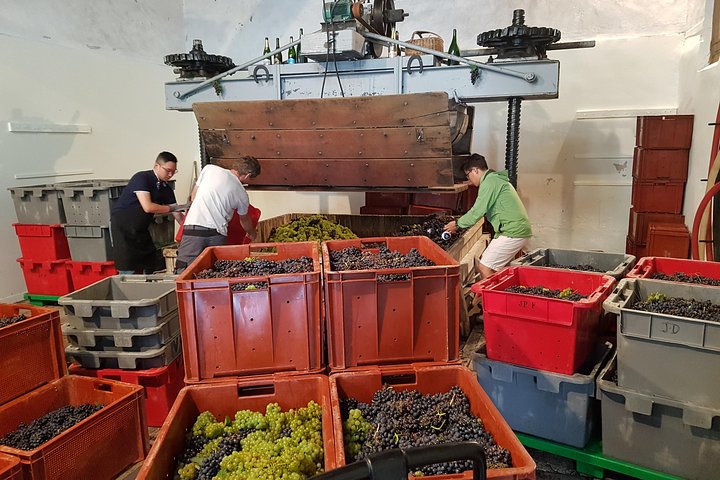 Paris Champagne Tour: 3 Tastings & Cellar Visits