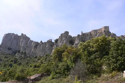 Image 2