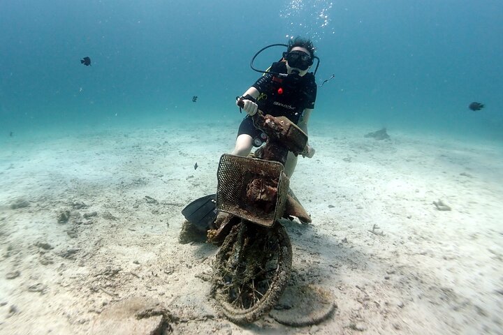 Image 1