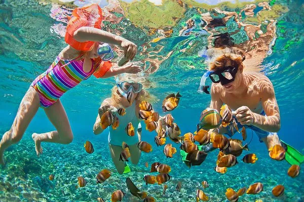 Oahu Circle Island Tour: Snorkel, Dole & Top Sights!