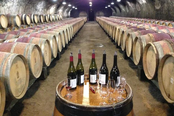 Unveiling Beaujolais: A Crus Wine & Castle Adventure from Lyon