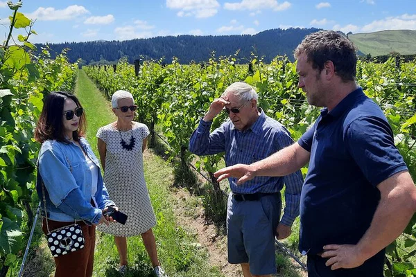 Martinborough's Artisan Foodie & Wine Private Tour: A Gourmet Getaway