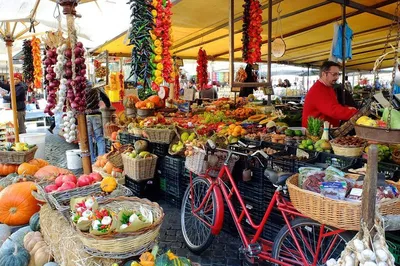 Savor Rome: A Private Culinary Adventure with 10 Delicious Tastings