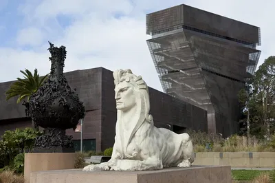 Discover Art and Views: de Young Museum Adventure